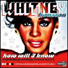 Whitney Houston How will i know (MisterMeh Rmix)
