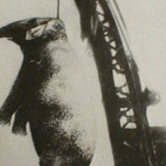 Bloody Mary - Kill It