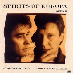 Bjorn J：son Lindh & Staffan Scheja - Nocturne ("Frederic Chopin")