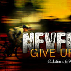 SEMC (Extra HQ) by wikiwalet