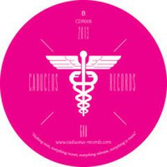 Dachshund - Northern Steam (Gerome Sportelli Remix) (snippet) - Caduceus Records