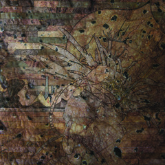 Vieo Abiungo (aka William Ryan Fritch)- Small Birds with Fast Hearts