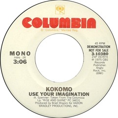KOKOMO - USE YOUR IMAGINATION ( DAVIDE RONGHI-NICOLA GRASSETTO SPECIAL RE-EDIT)