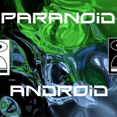 Paranoid Android: "Coming Down" live@ RSE Festival 24.05.2013