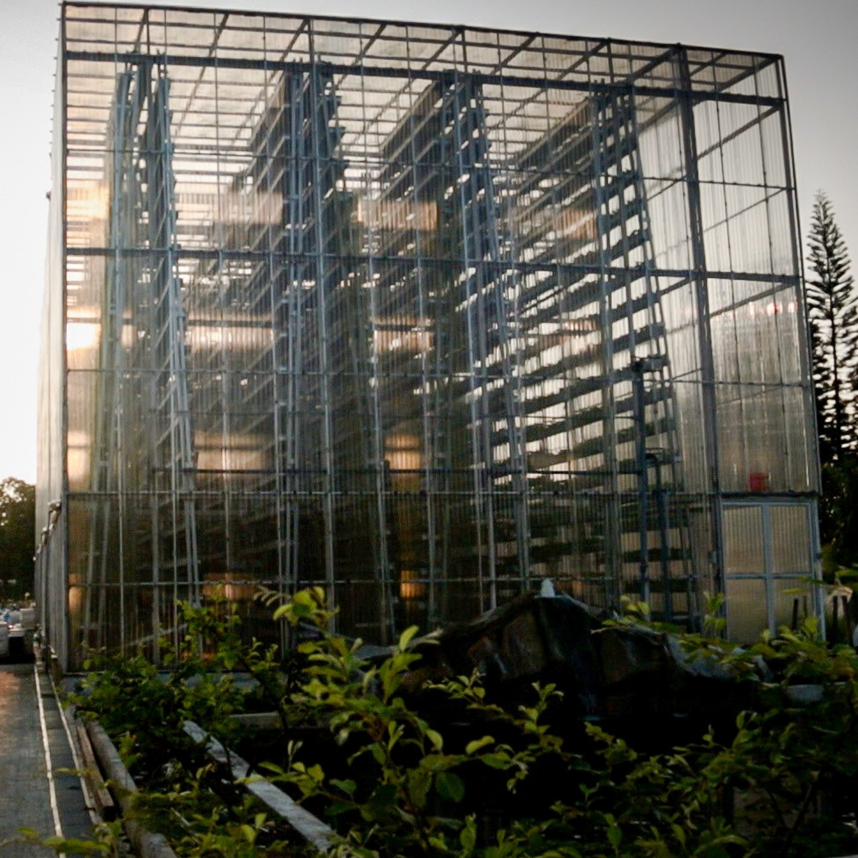 PREVIEW: Vertical Farms of Singapore