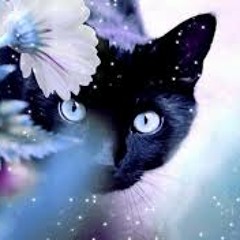 Joris Delacroix - She (Original Mix)