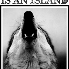11 - Every Man Is An Island - Wolves
