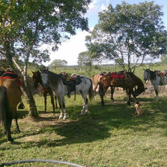 LA PROPIA (Walter Silva)