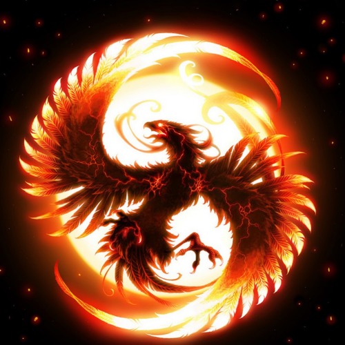 Vonikk - Phoenix