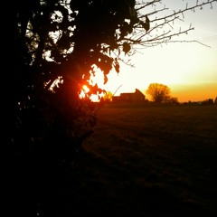 Don't Look Back Into The Sun (Cover)