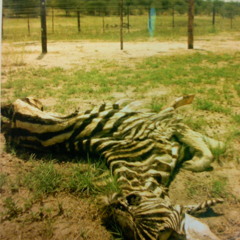 Bukez Finezt - I Get (Merman Remix)