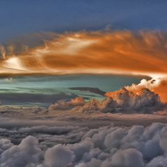 INTRO w/ Molly Williams