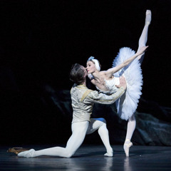 Swan Lake (violin)