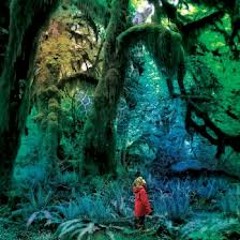 Jacco Gardner - Cabinet Of Curiosities