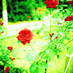 Suezo - #Dance (feat. Miku Hatsune)