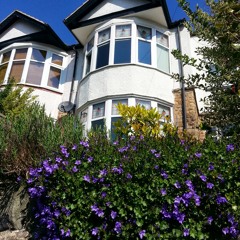 God Tried To Kill You!  at Bingham Park