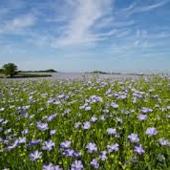 Harryzon der ausflug ins blaue