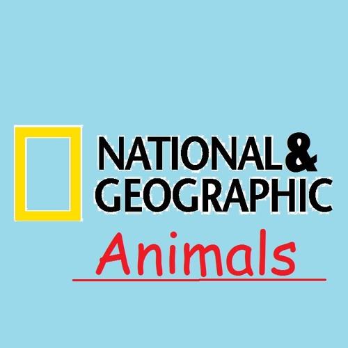 National & geographic - animals