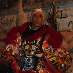 Camelias 2013 Faixa 02