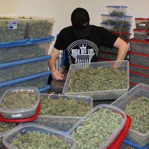 Tairo - Bonne Weed HDHQ
