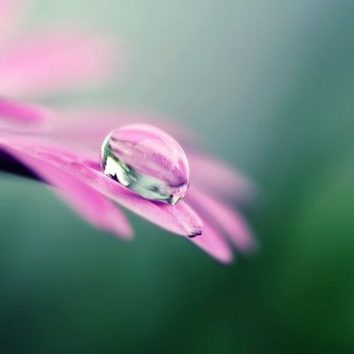 Rob Simonsen Photos Every Day remix