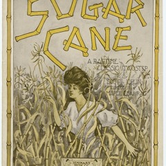 Sugar Cane Rag (Scott Joplin 1908)