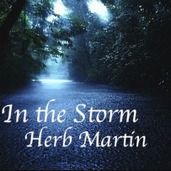 In The Storm