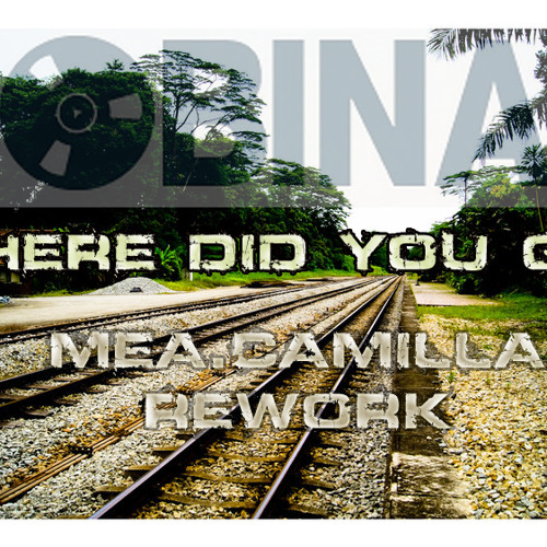 Bobina - Where Did You Go (Mea.Camilla ReWork)