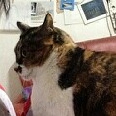 Iammoho_이젠잊기로해요 at 130530.인디톡