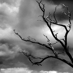 100% by meas sok sophea coverd by ME