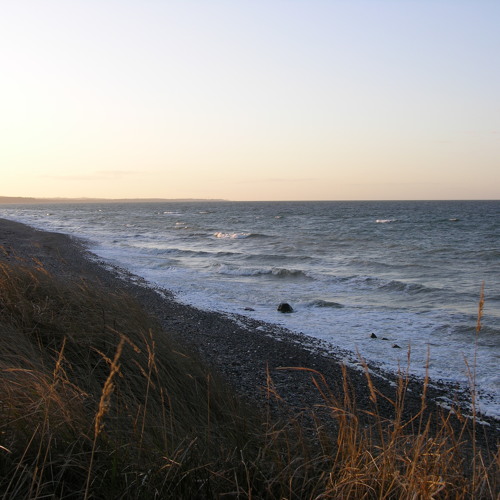 Seasidetrip 08 by Buster - dub waves