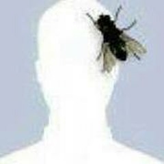 2마디단체곡 - 24명의 참여진