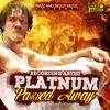 Passed Away - Platnum