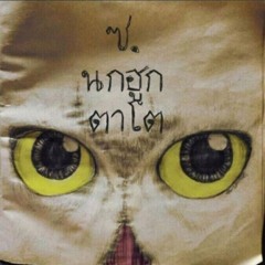 RM - เส้นขอบฟ้า