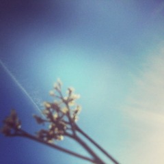 Na 5 minut przed zaśnieciem