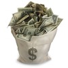 Bag of money