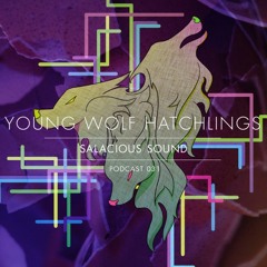 Young Wolf Hatchlings - Salacious Sound Podcast [FREE DOWNLOAD]