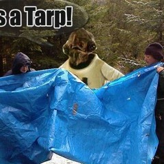 its a Tarp