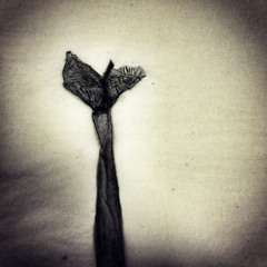Find A Way