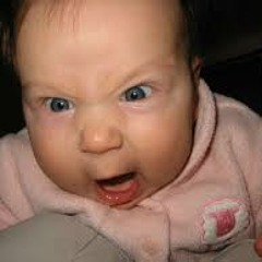 5.6.13 Muse-Agitated