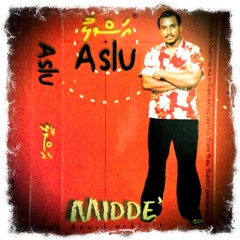 Mage Loabivaa_ASLU album_Midde