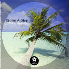 GrooveKeeper(Original Mix) / Rinaldi & Shar / LANTUS RECORDINGS 031