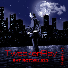 Fight Back - From my album The Collector Chapter 02