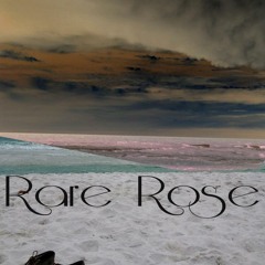 Seeking Meaning-Rare Rose