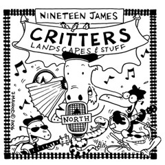 Turtle by Nineteen James and Friends - lyrics by Dave Bartlett