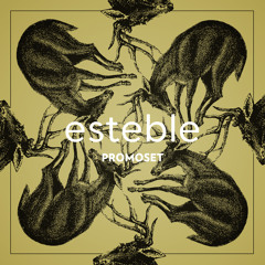 esteble - Promoset [may 2013]