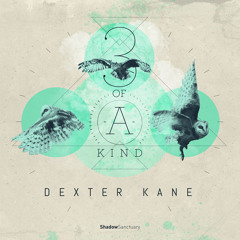 Dexter Kane - Work That