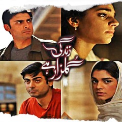 Zindagi gulzar hai