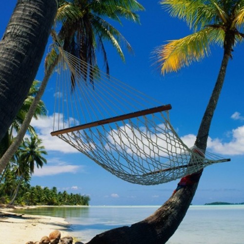 Tim Lyall - Hammock -
