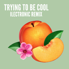 Phoenix - Trying to Be Cool (Ilectronic Remix)